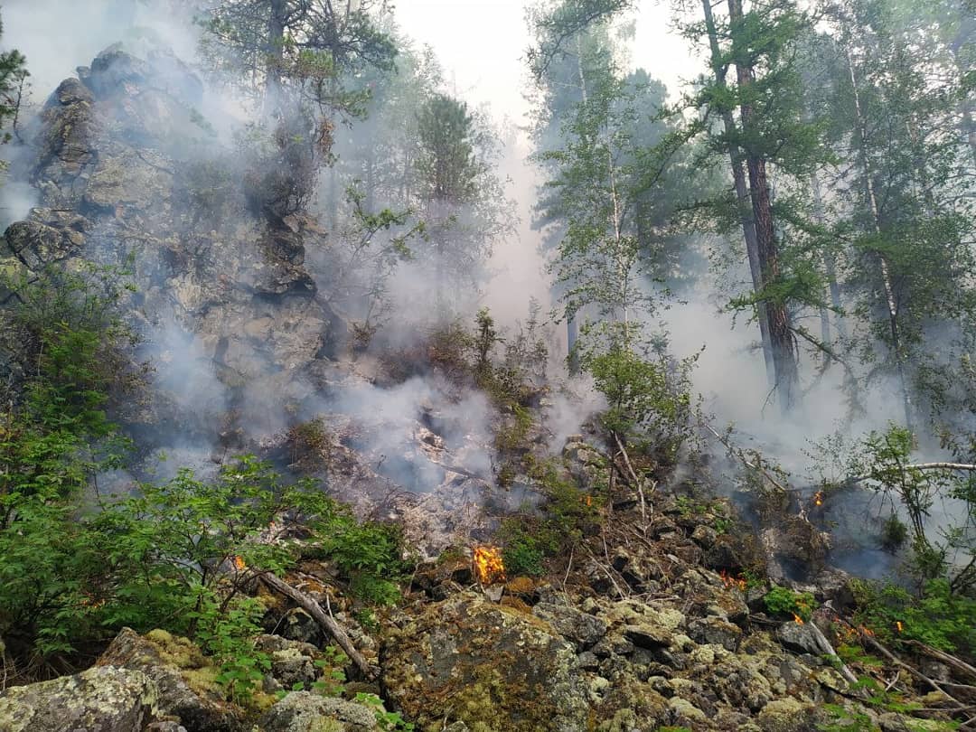 Denezhkin_Kamen's tweet image. Пожар в заповеднике "Денежкин Камень" обнаружили сегодня в 6 утра. Площадь 6,2 га.  Первые кадры с места.
Пожар в заповеднике "Денежкин Камень". Обнаружили пожар сегодня в 6 утра. Площадь 6,2 га. Первые кадры с места пожара.
denkamen.ru/node/486