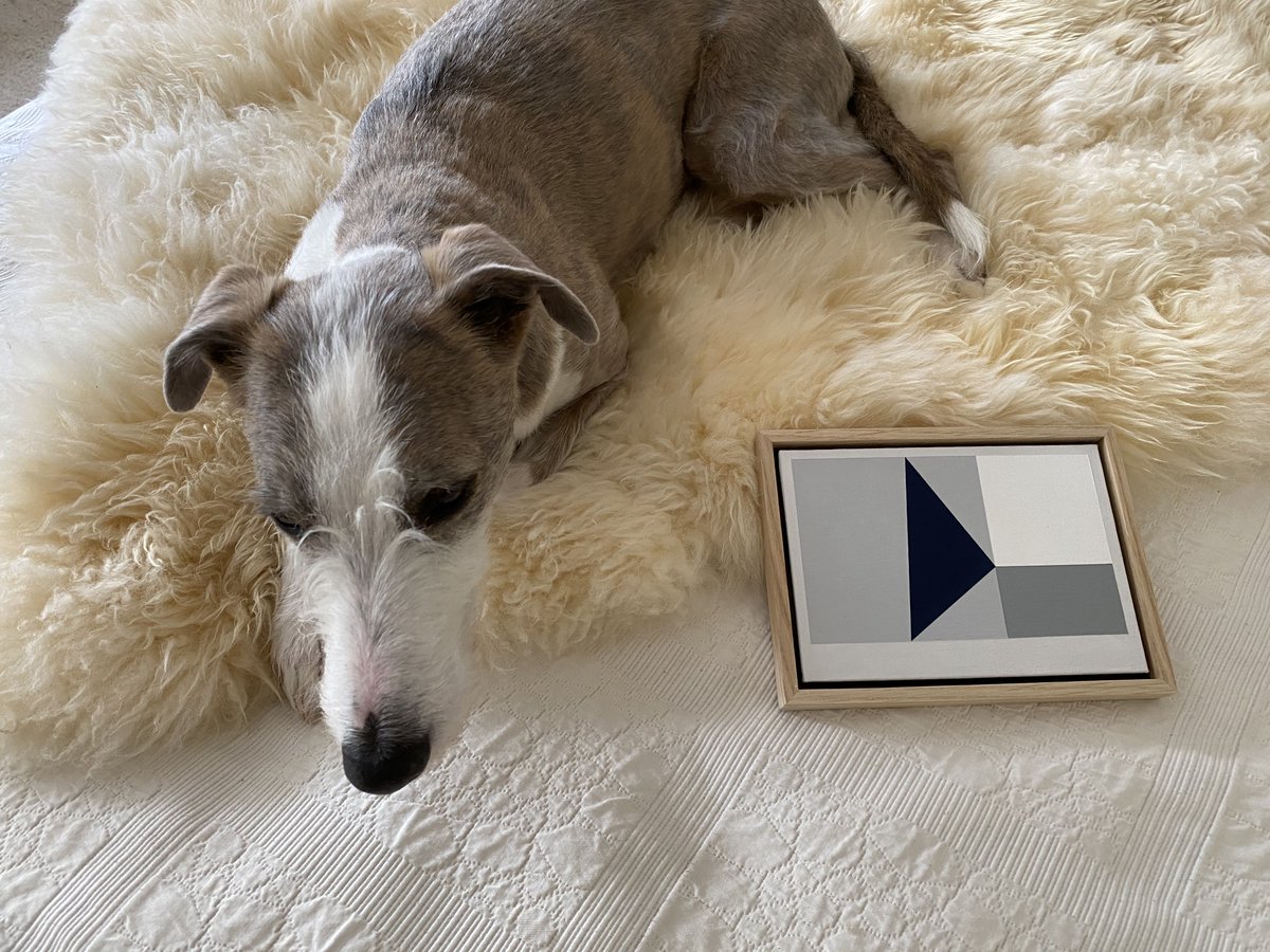 Grey shades for a gloomy day in London, modelled by the very handsome Pip Whiplington…