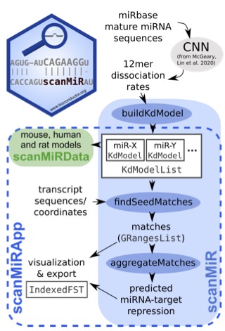 check out our recent #microRNA target prediction tool ScanMir ethz-ins.org/scanMiR/, which allows identification of G-bulged, TDMD and slicing sites. The accompanying paper is available at biorxiv.org/content/10.110…