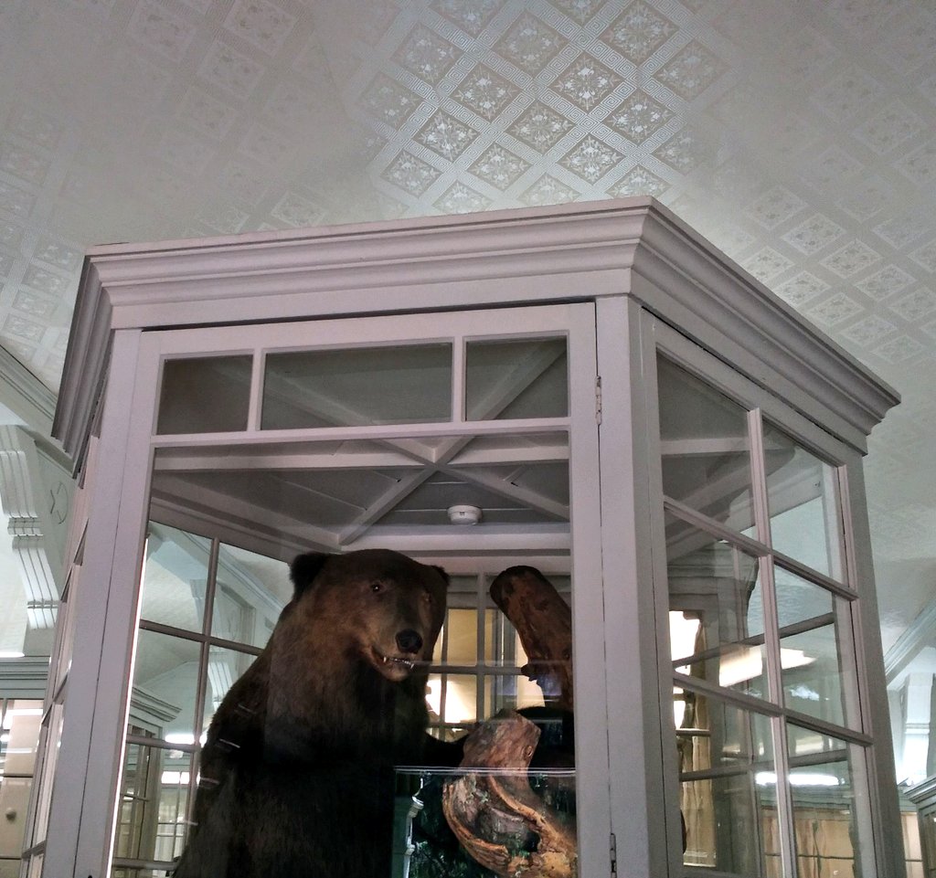 クマって自衛隊員より強いんだ 札幌の市街地にヒグマ出現 門番をしばき倒して駐屯地に突入してしまう 2ページ目 Togetter クマって自衛隊員より強いんだ 札幌の市街地にヒグマ出現 門番をしばき倒して駐屯地に突入してしまう 2ページ目 Togetter