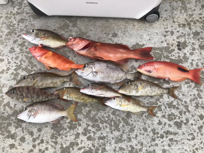 食料
ちょっと大きいのがあまり釣れていない 