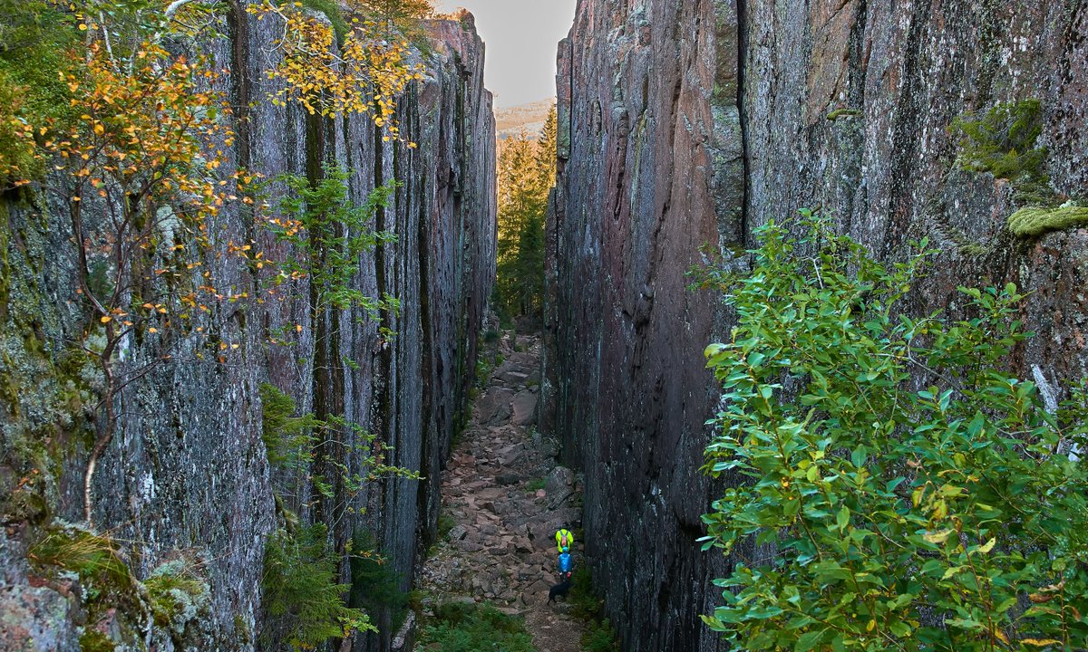 wanderlustmag's tweet photo. 7 national parks in Sweden that will soothe both body and soul > https://t.co/Z34StuvNJN
A tenth of Sweden is covered by national parks and reserves, so you’re never far from nature – even when you’re in the city...
#Ad #wlswe
@visitsweden https://t.co/WfrDePLo0t
