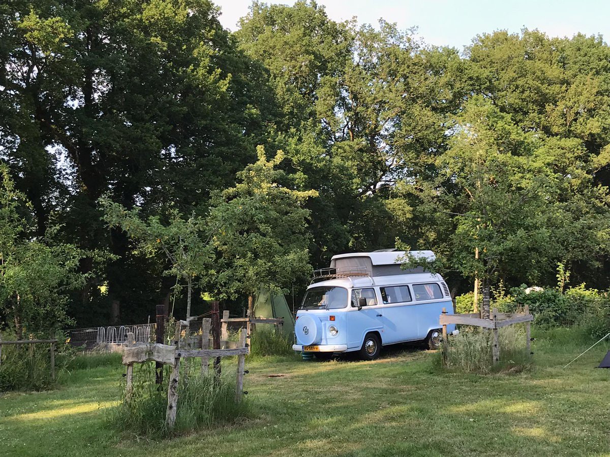 angela_vanee's tweet photo. Holiday in Holland! #texel #siegerswoude #hijken #wenumwiesel #vw #t2 #vakantie #friesland #friends #drenthe #westerbork #tesselair #ekvoetbal #camperbusje #mistyblue #summertime #mooieplekjes https://t.co/Qr3BGFIBq3