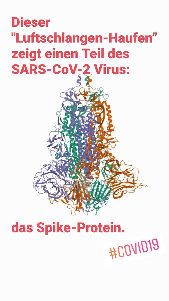 Wer hat das Protein erkannt? Hier folgt die Auflösung 🥁 Noch mehr Lust auf rätseln? Von 16.00 - 18.00 Uhr findet heute unsere #Gaming Session mit <a href="/wissimdialog/">Wissenschaft im Dialog</a> beim <a href="/DigitaltagDE/">Digitaltag</a> statt. 

<a href="/houseoftalesde/">HOUSE of TALES</a>
#Raetsel #Digitaltag #wisskomm #scicomm #COVID19 #gamification