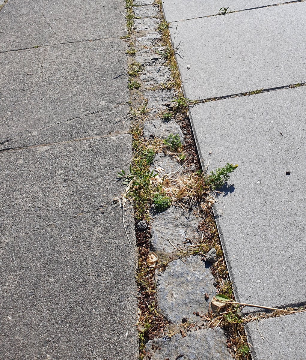 Plantevaern's tweet photo. Glyphosat er blevet nævnt som et eksempel på svært nedbrydelige pesticider, men netop glyphosat hører ikke til blandt disse stoffer og udgør ingen trussel for drikkevandet. Det fremgår af GEUS’ grundvandsovervågning. #GodKemi
Læs mere: https://t.co/q1OfbWCxXo https://t.co/lrLxIrxpxM