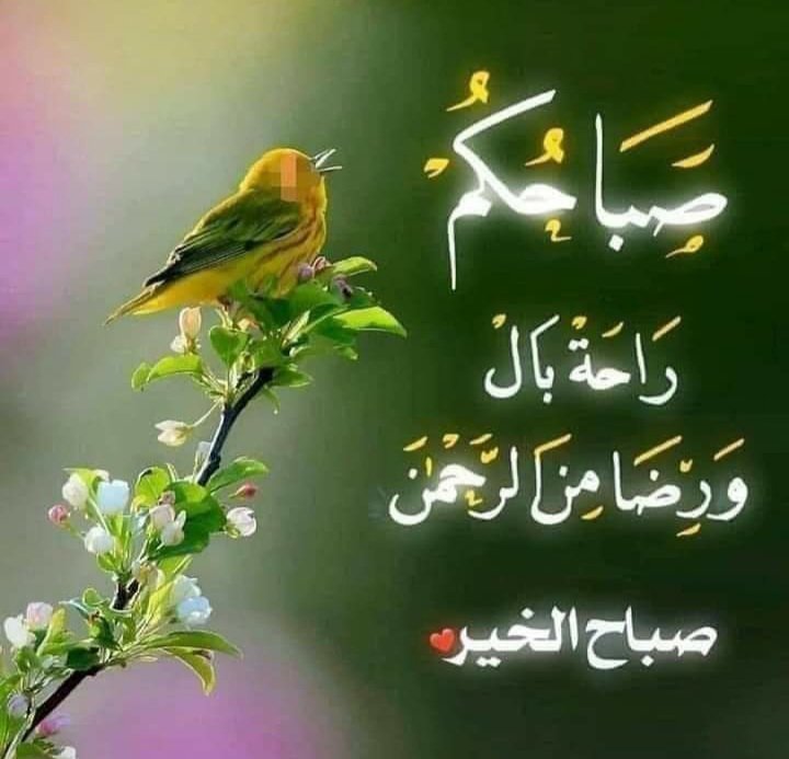 Kahlaa22's tweet photo. لَك الحمدُ حمدًا متواليًا، متواتِرًا، مُتّسعًا، مستوثِقًا، يدوم بدوامك لا يبيد. https://t.co/woMrdEa3Ut