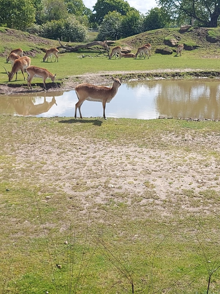 Really NEET Project tweet media