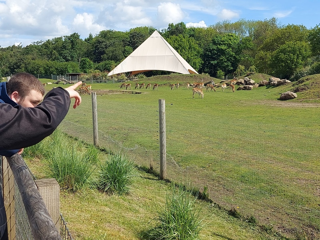 Really NEET Project tweet media