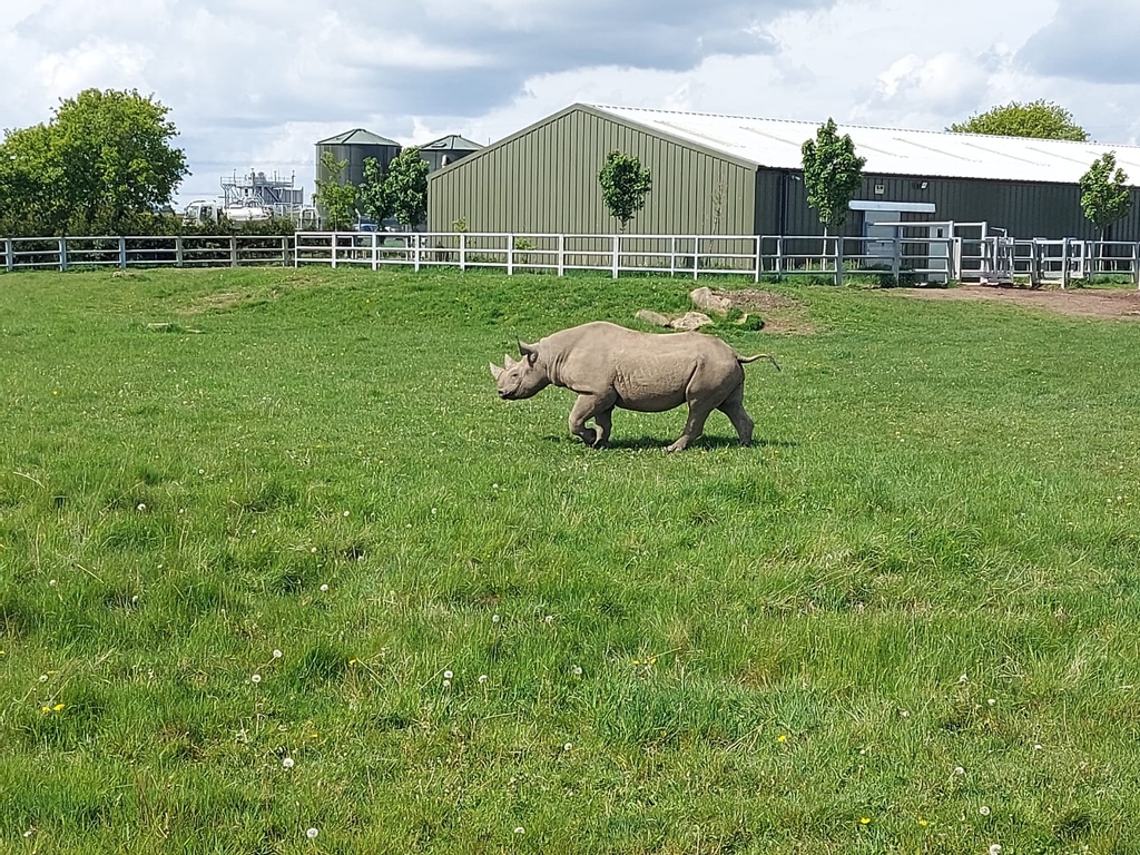 Really NEET Project tweet media