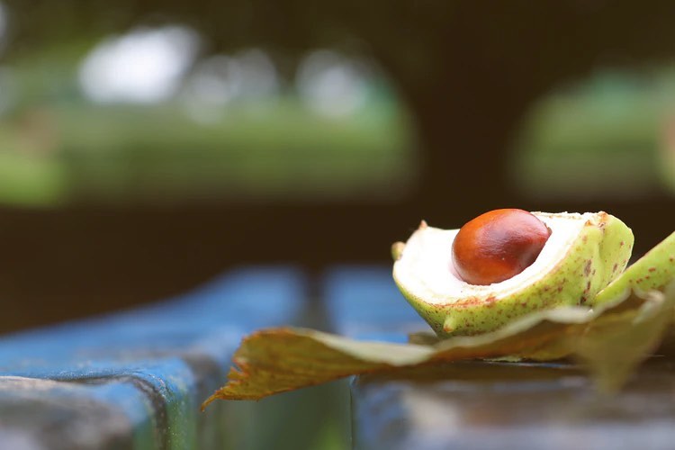 EIF4LDCs's tweet photo. 🇷🇼Rwanda is an important digital economy in Africa!
@UNCTAD is supporting the @RwandaTrade in developing a National eCommerce Strategy for businesses like Avocare!
Avocare has set up an online shop on their website to drive sales for their organic avocado oil🥑
#PowerupTrade⚡️ https://t.co/VKSTEXf2rz