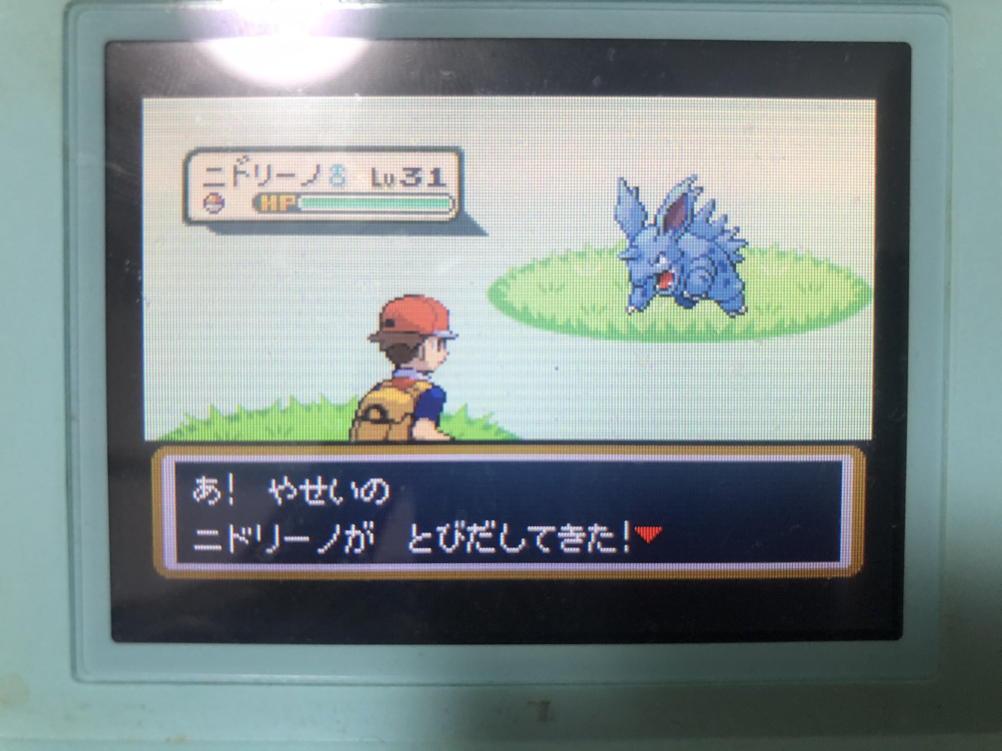 レゴゲン 初めて入手した色違いポケモン晒せよ ファイアレッドでサファリゾーンのニドラン雄でした 死ぬかと思った んで最近 サファリで色違い粘ってたらニドリーノになって帰ってきた ありがとう T Co Gzstqyr2m8 Twitter