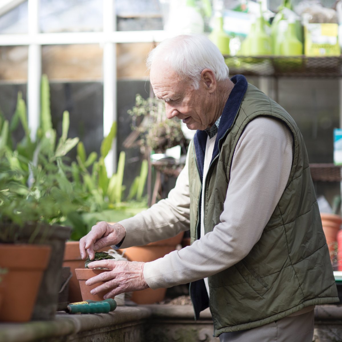 Navigil_FI's tweet photo. Grow a Garden🌺
Just a little bit of gardening every day — reduces the risk of stroke and promotes a longer, healthier life, according to results of a study published by the British Journal of Sports Medicine.
#ShareAndCare #Navigil #AgeIsAdventure #PlantLife https://t.co/nGtX6mW0iS