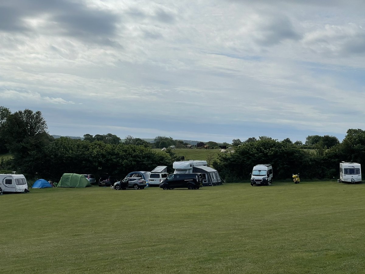 BroadleighFarm's tweet photo. Look who mooved into the field behind Broadleigh yesterday 🐮. They have promised to keep the noise down and be on their best behaviour! 

#devon #broadleigh #broadleighfarmpark #holiday #weekendaway #staycation #makingmemories #stokegabriel #totnes #torbay #camping #caravan https://t.co/I6dzXnGtvX