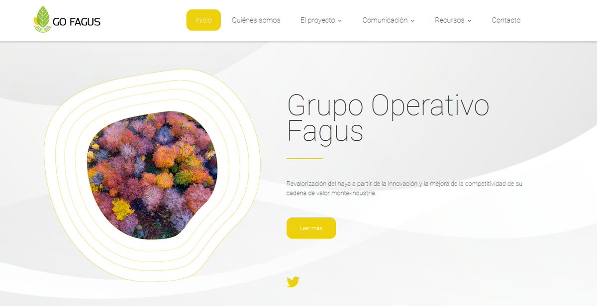 CETEMAS's tweet photo. El proyecto @go_fagus "Revalorización del #haya a partir de la innovación y la mejora de la competitividad de su cadena de valor #monte-industria"

estrena WEB y te invitamos a visitarla:

➡️https://t.co/DUyBZaebCY

💵@mapagob @redrunacional https://t.co/Ss1IEidbOH