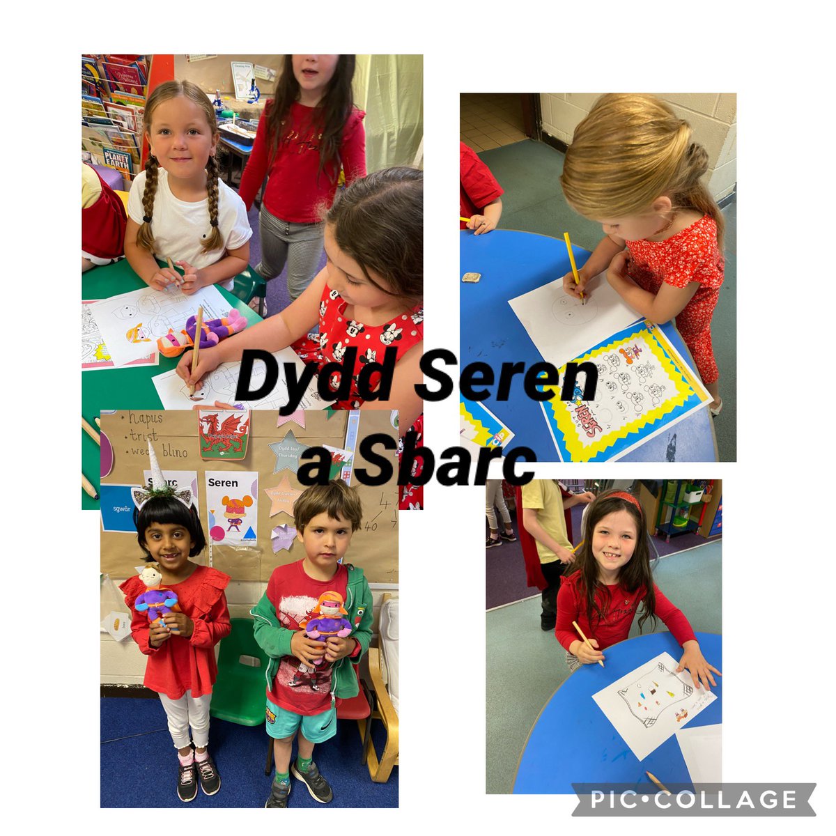 AJL PRIMARY tweet media