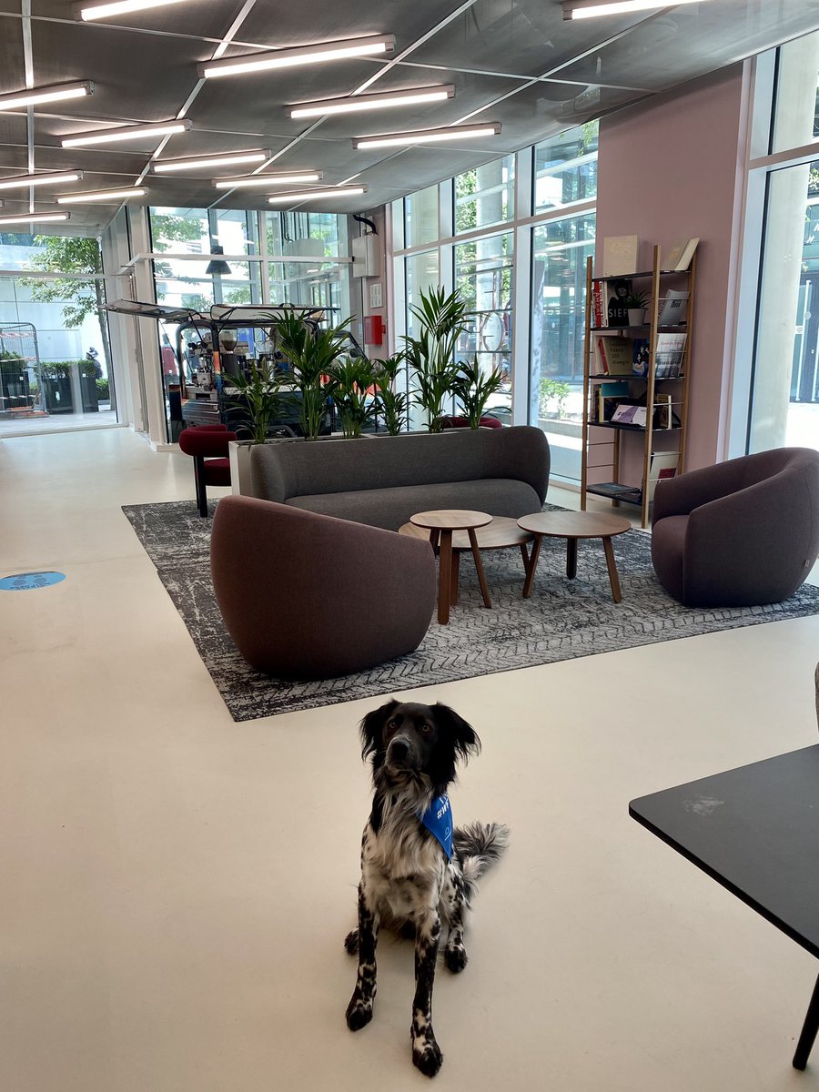 This is how our new reception looks like 🤩 We are so glad to welcome our customers and make them feel like home #WfW #Workspace