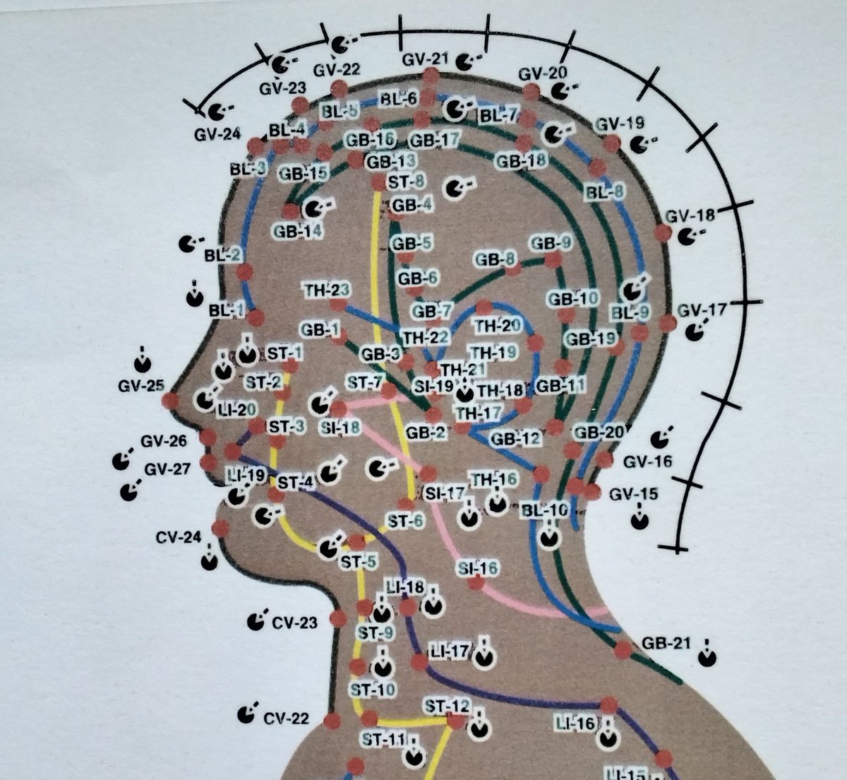 Tim Butt @ Zing-Zang.com 🇬🇧 tweet media