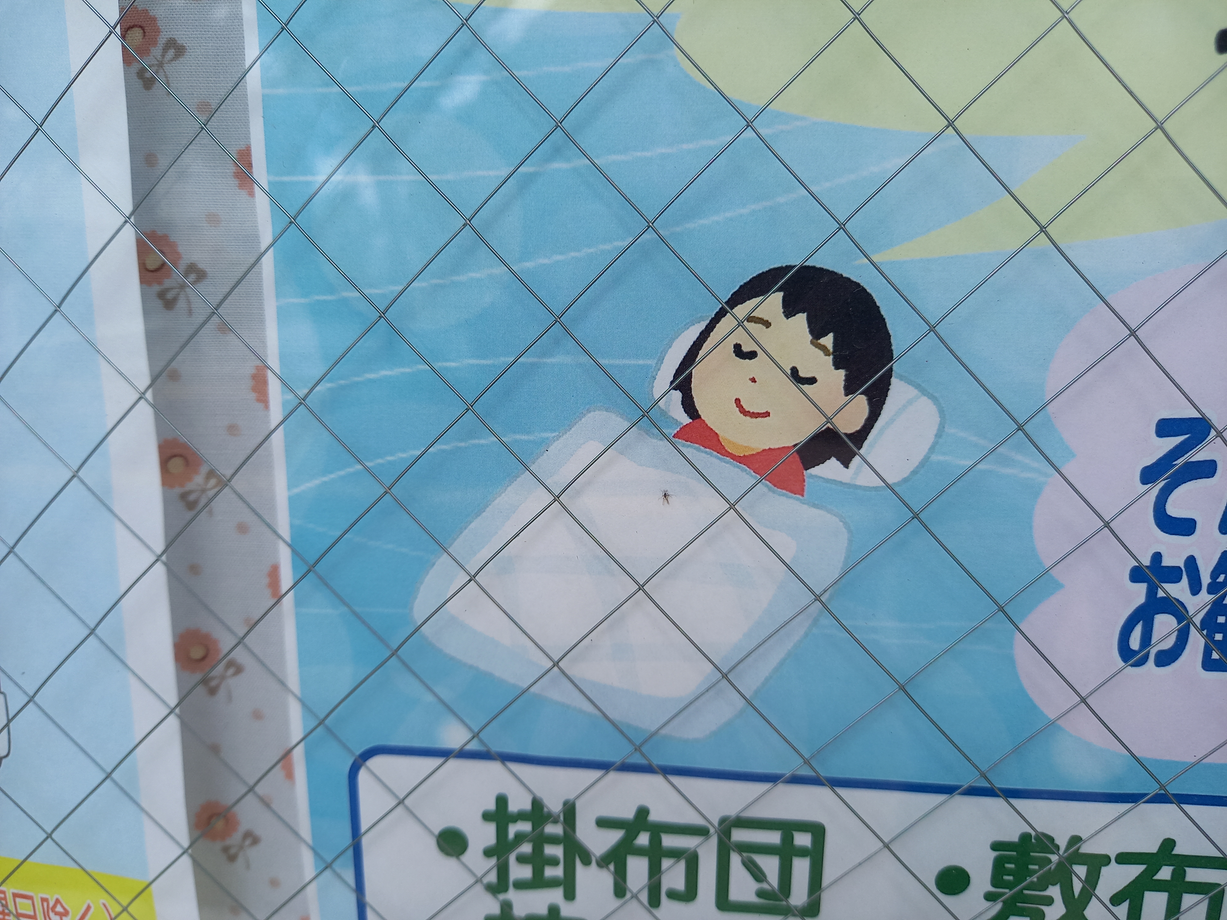 三浦靖雄 登録757号は東伏見駅前の ニューnクリーニング の毛布 布団丸洗いpop 使用は 色々な寝ている人 の素材から女性 ここ１ 2年でクリーニング店での使用例確認が増えてきました いらすとや いらすとやマッピング いらすとやマップ