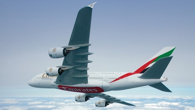 FlyAndGo tweet media