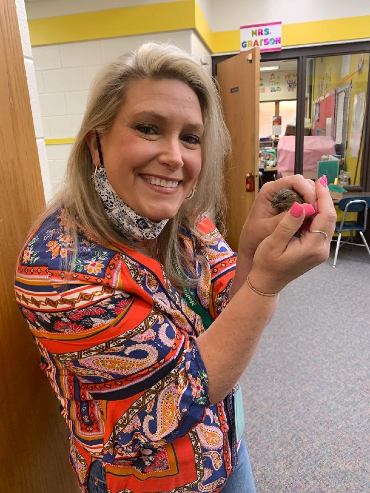 CPCougars's tweet photo. No temp check was required for this visitor. After a field trip inside, he was safely returned back to nature. #CPcougars https://t.co/myjLNkdPeO