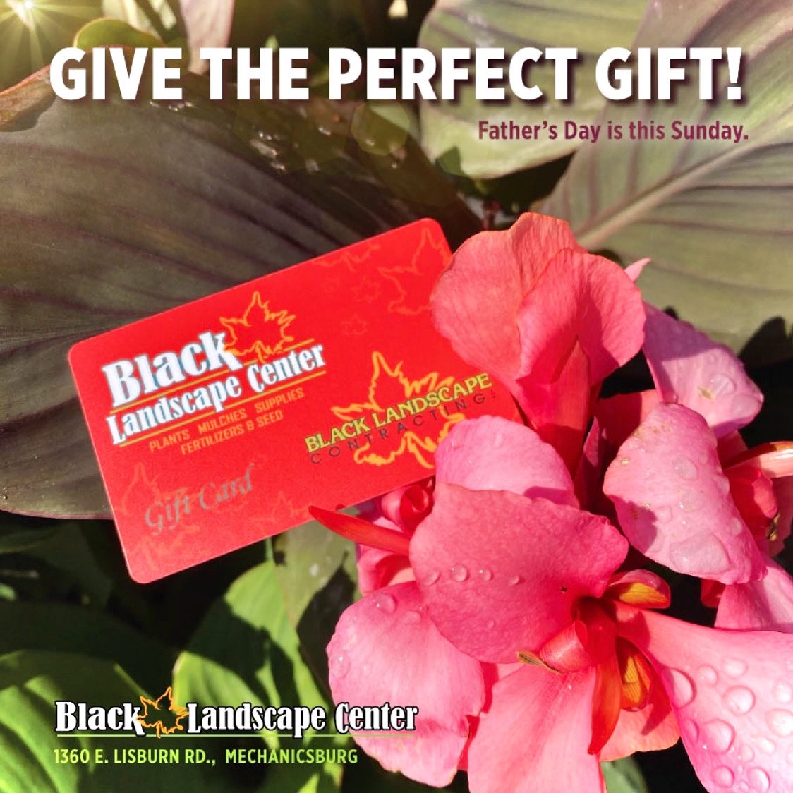 blacklandscape's tweet photo. #FathersDay is this Sunday! 

Let Dad pick out exactly what he wants and needs — grab him a Gift Card! (Gift Cards are available in any amount and have no expiration date.) 

Visit our #LandscapeCenter today! https://t.co/VREPKawYgj