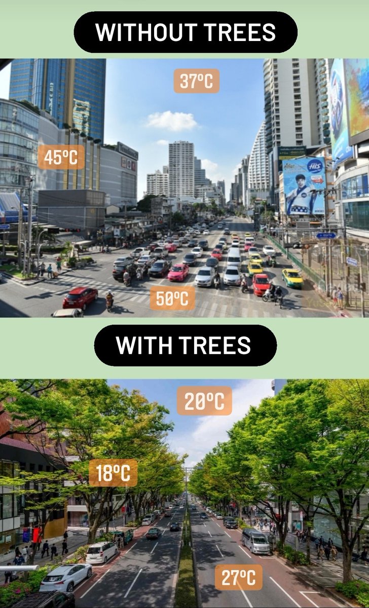 khun101010's tweet photo. Asok, Bangkok vs Omotesando, Japan
urban heat คือผลที่ตามจากการออกแบบเมืองอย่างผิดๆ การไม่เห็นคุณค่าของต้นไม้ ผูดขาดพื้นที่สาธารณะให้ยานพาหนะ ทั้งหมดนี้คือต้นทุนที่ที่ซ่อนอยู่ของชีวิตคนเมือง https://t.co/mJmnp5Ra3D