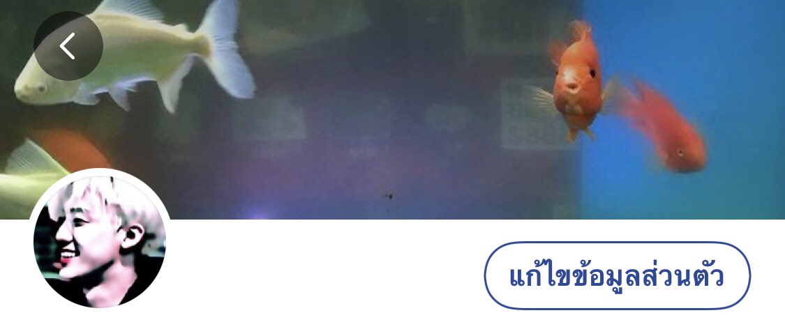 มีใครไปเซอร์ไนน์ เวอร์สองไหมครับ