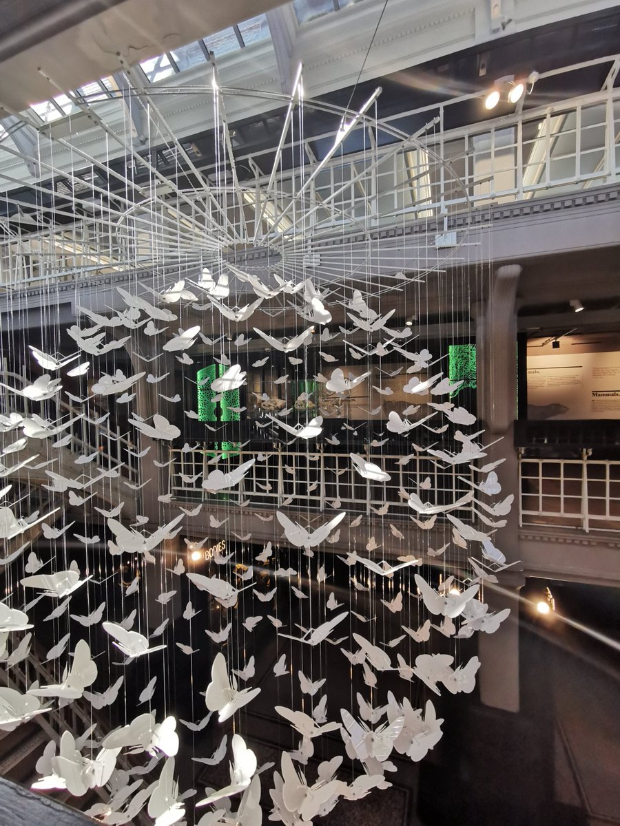 Snuck into the Let's Dance taster session with Culture Champion Hazel Roy. Loved every minute! 

We danced, grooved &amp; swayed to animal themed tunes linked to the <a href="/McrMuseum/">Manchester Museum</a> 's collections.  

We ended with 'What a Wonderful World' - bliss ... #wellbeing #communityfestUoM