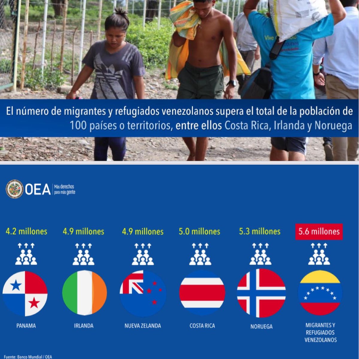 alejandraoraa's tweet photo. Un país fuera de un país. 
Así de descomunal es la migración venezolana con 5.6 millones de migrantes y refugiados. Para ponerlo en contexto, es más que la población total de naciones como Noruega, Costa Rica, Panamá, Irlanda y Nueva Zelanda. Abro hilo sobre el tema⬇️⬇️⬇️ https://t.co/xlWfbacVXG