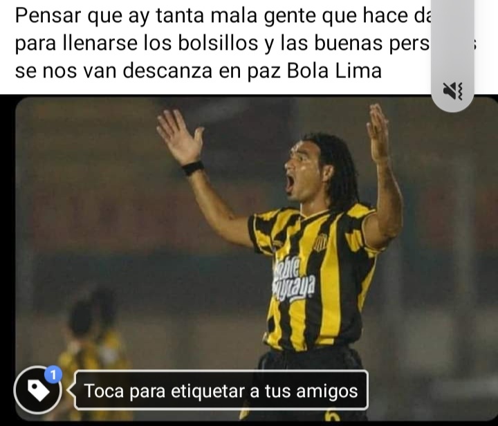 Sin palabras descanza en paz Bola