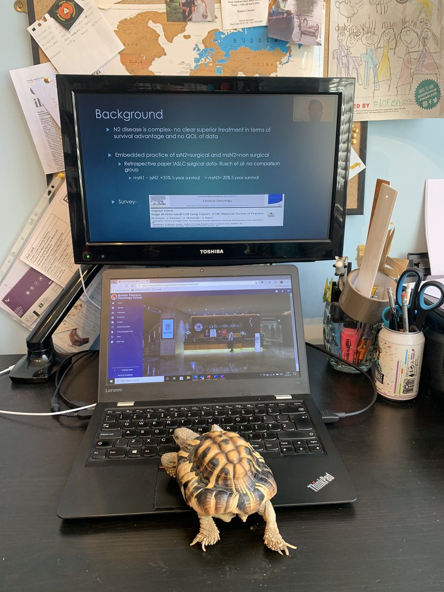 British Thoracic Society (BTS) (@btsrespiratory) on Twitter photo .<a href="/Dr_Allie_Hare/">Dr Allie Hare</a> and here we have Doris, the winner of #BTSSUmmer2021pets <a href="/tb_doc/">Will Ricketts π ποΈ</a> .<a href="/Dr_Allie_Hare/">Dr Allie Hare</a> and here we have Doris, the winner of #BTSSUmmer2021pets <a href="/tb_doc/">Will Ricketts π ποΈ</a>