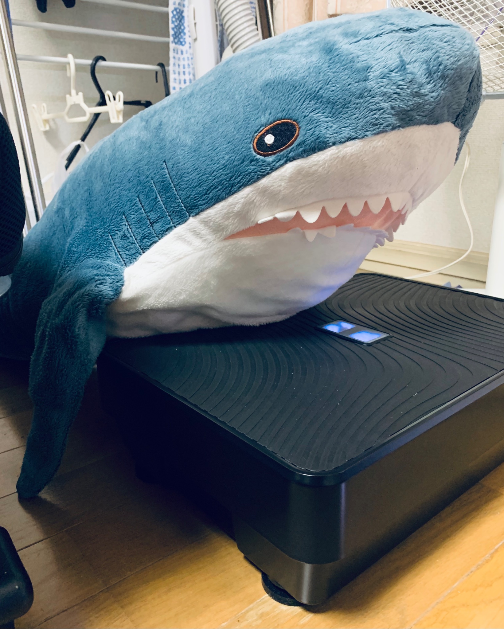 Tweets With Replies By Ikeaのサメちゃん Decorate Style Twitter