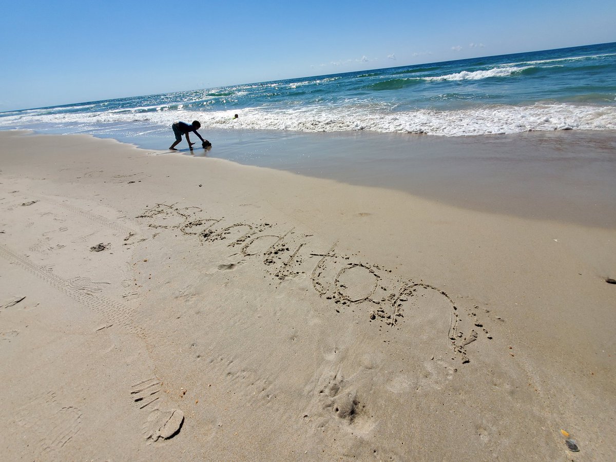 #SanditonIsSaved #Sanditon #SanditonSisterhood