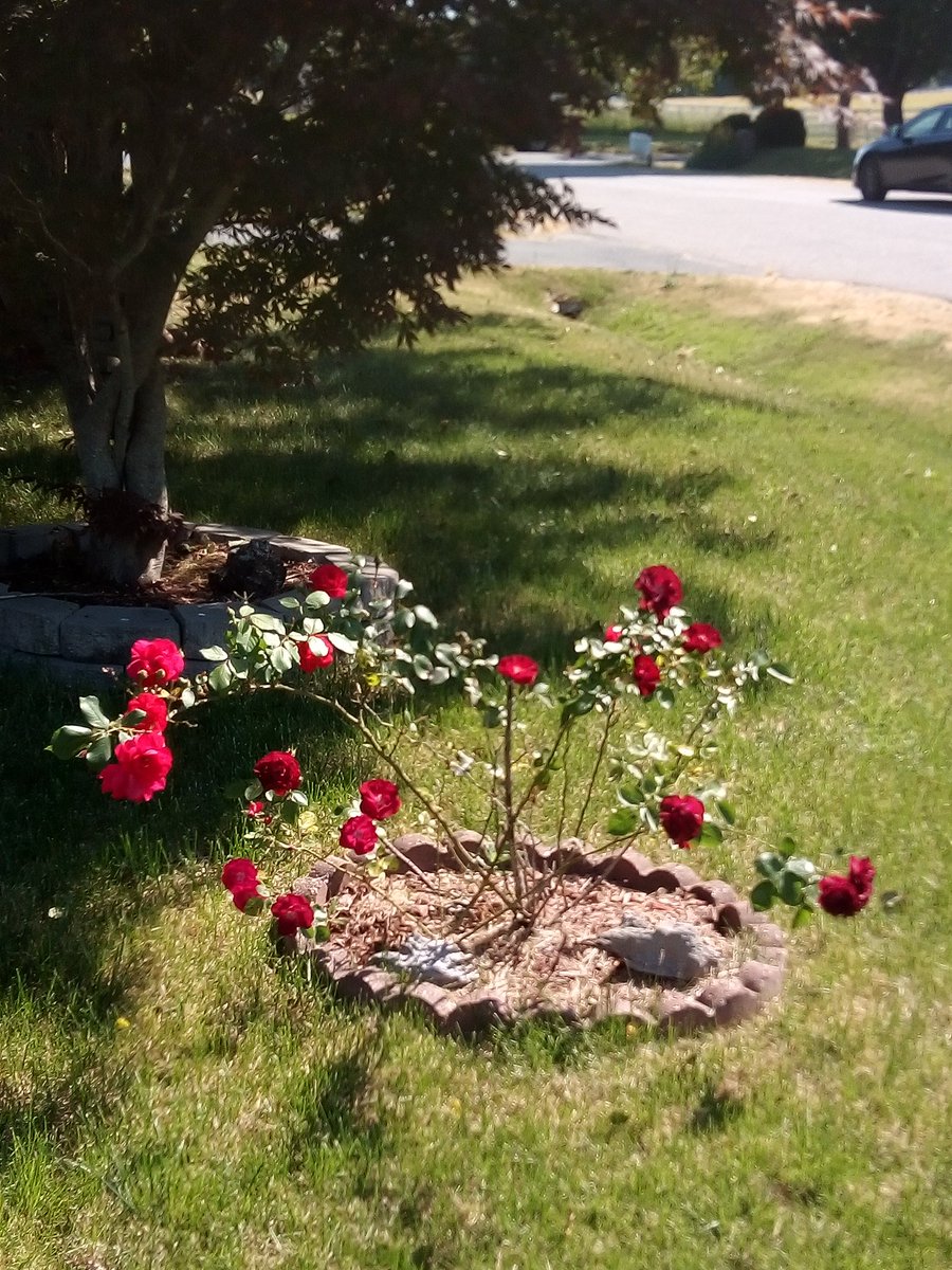 TCocreator's tweet image. Truth is everything is #4TheGood. Walk with Faith. Act with Love. #IIIIStpm 🔥💕🐉 Be Still &amp;amp; Know youR true SOURCE. #lovehavemercy Mind youR thoughts, words, emotions, beliefs &amp;amp; actions.