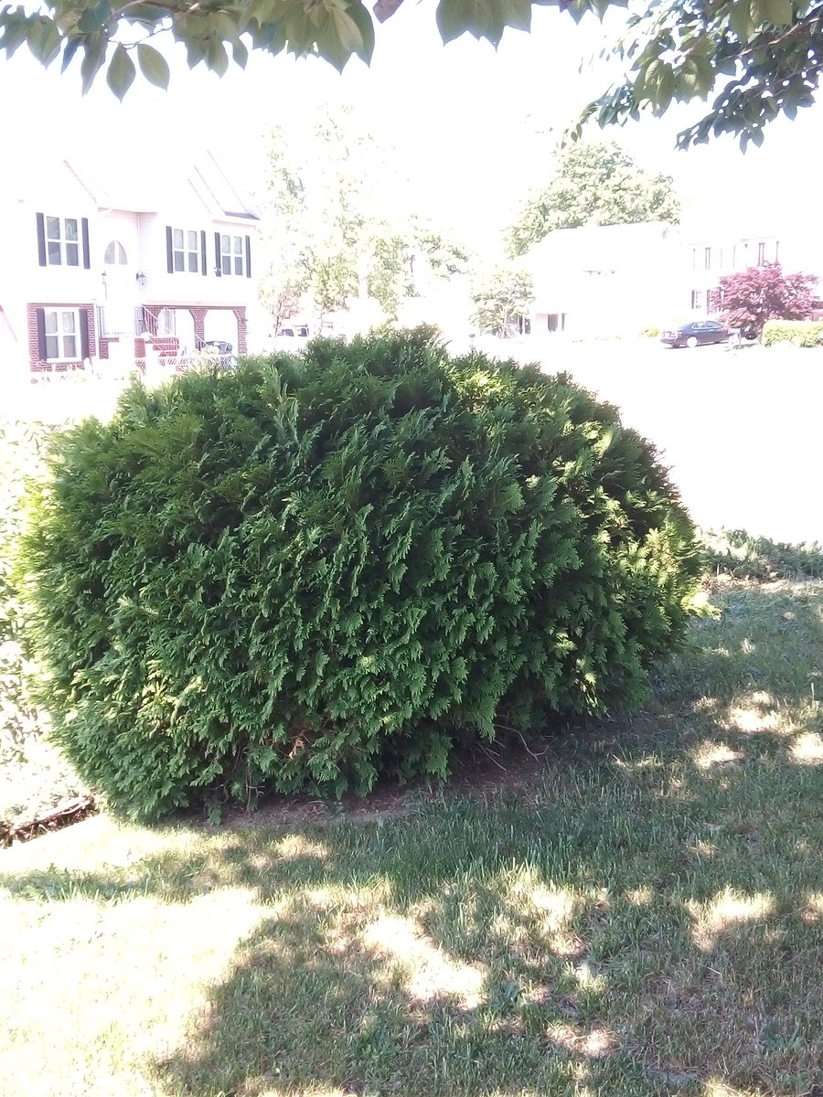 TCocreator's tweet image. Truth is everything is #4TheGood. Walk with Faith. Act with Love. #IIIIStpm 🔥💕🐉 Be Still &amp;amp; Know youR true SOURCE. #lovehavemercy Mind youR thoughts, words, emotions, beliefs &amp;amp; actions.