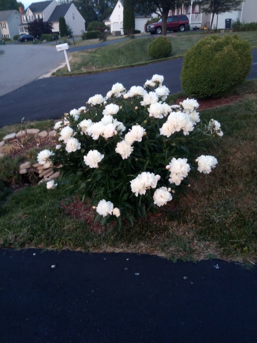 TCocreator's tweet image. Truth is everything is #4TheGood. Walk with Faith. Act with Love. #IIIIStpm 🔥💕🐉 Be Still &amp;amp; Know youR true SOURCE. #lovehavemercy Mind youR thoughts, words, emotions, beliefs &amp;amp; actions.