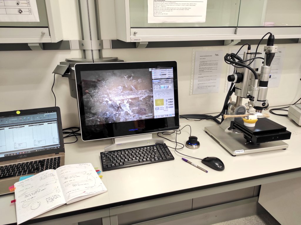 Miguel_preh's tweet image. Looking some small taphonomic modifications on human bones is a good plan for a Friday afternoon! #FossilFriday #ForensicTaphonomy #RocOrenetes #Chalcolithic #BronzeAge #CollectiveBurial #HIROXMicroscope
