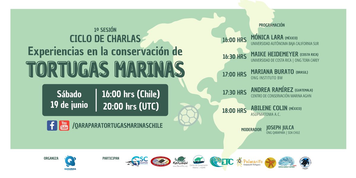 ONG QARAPARA Tortugas Marinas Chile tweet media
