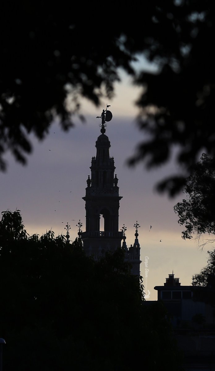 Sevilla.

¿Cuál preferís?

🟥RT
🟦FAV