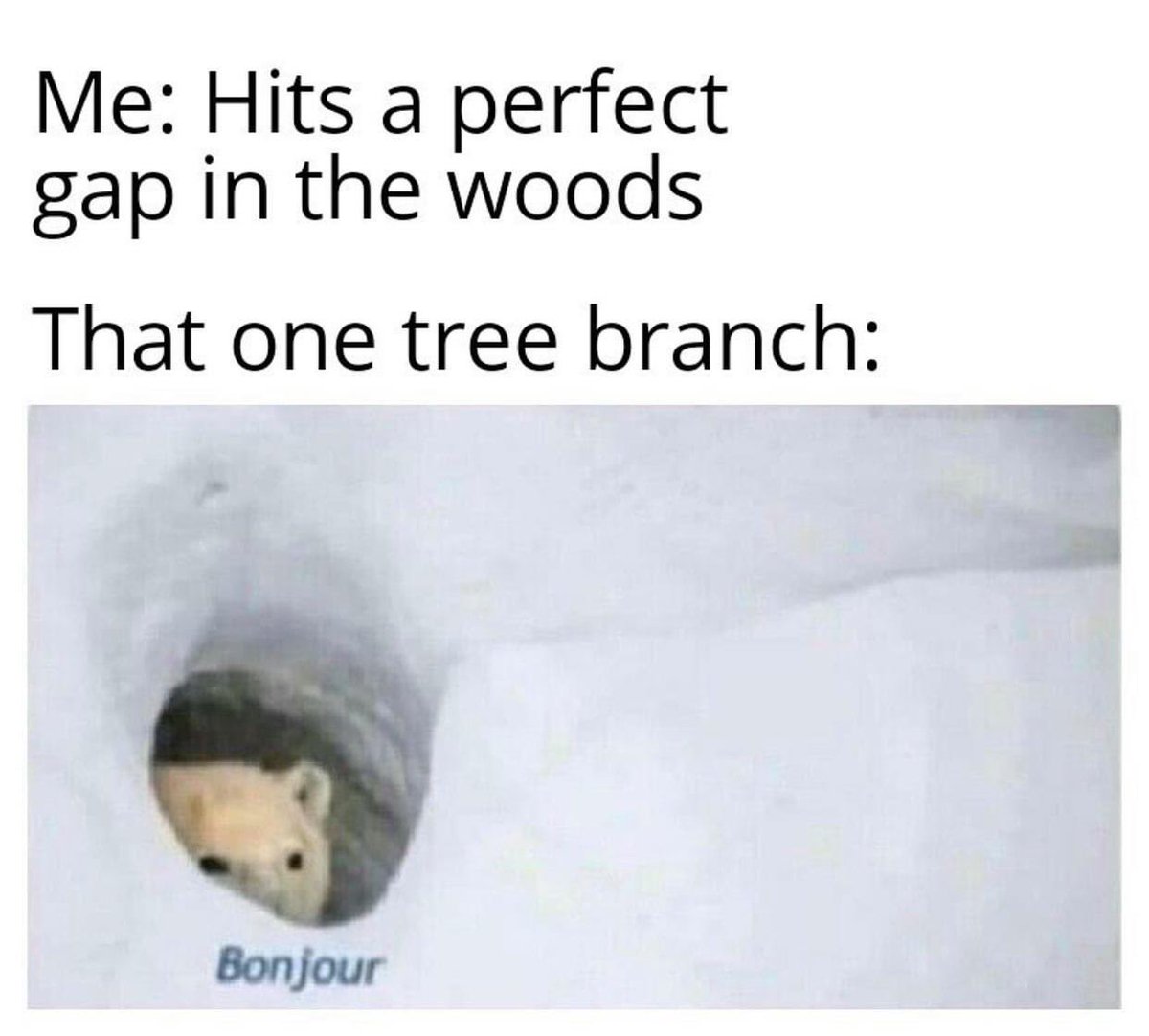 DiscGolfSt's tweet photo. Peek a boo!!
#dgmemes #discgolf #discgolfmemes #dynamicdiscs #discraftdiscgolf #discraft #jomezpro #eaglemcmahon #frisbeegolf #growthesport #discgolfacerun https://t.co/6TvlOAhBSZ