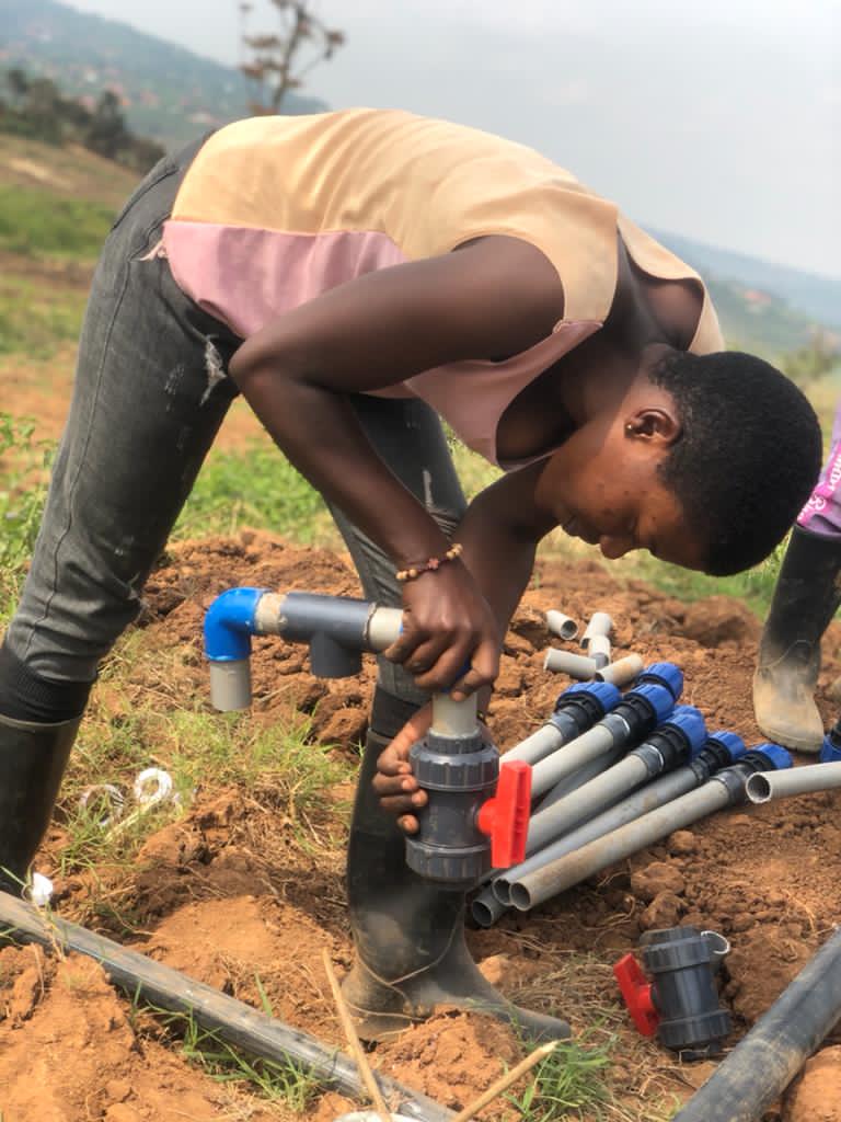 <a href="/PrideFarms_Ltd/">Pride Farms Ltd.</a>  Organic Farming Training Program - Ongoing installation of drip irrigation system in #Rugende- #organicrwanda #supportorganic  #agriculturetraining #youthempowerment #RwOT