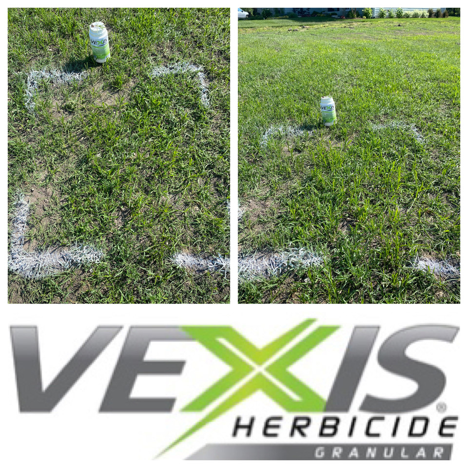 Putting down a VEXIS #herbicide @pbigordonturf #trial on Yellow  Nutsedge.I'll report results in a few weeksNew AIControls ALL Nutsedge &  Kyllingasafe on ALL TurfGranular formulation for extreme  versatilityApply to wet or dry
