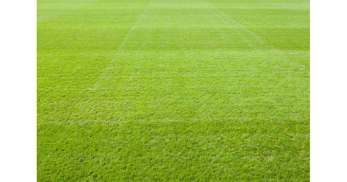 Fleet Spurs tweet media