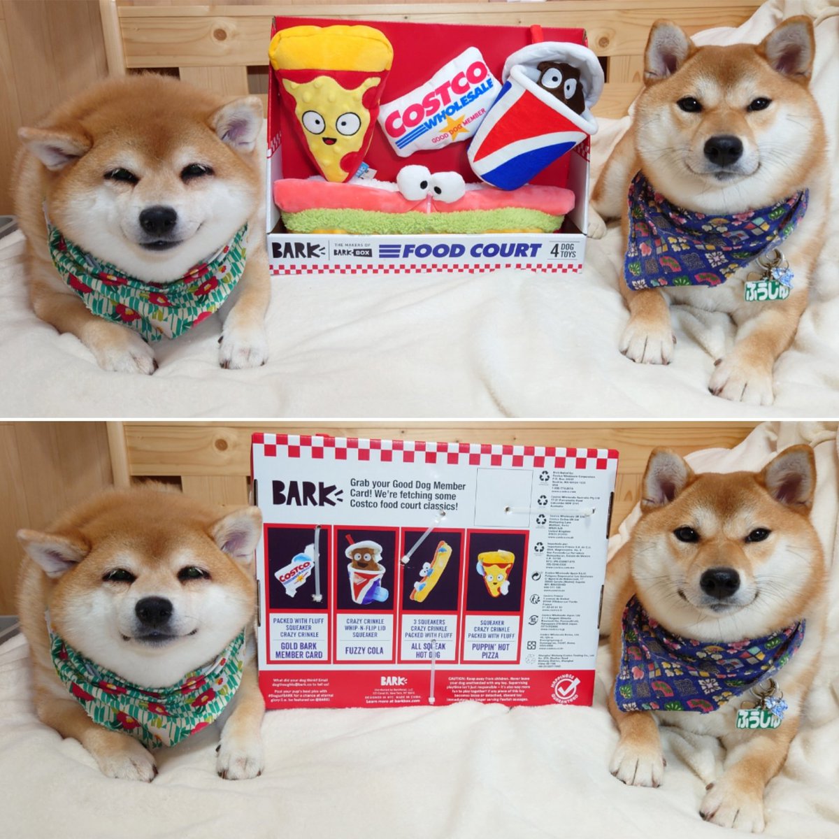Naichan Mon A Twitter コストコの犬のおもちゃ 柴犬 Shibainu 柴犬ちゃお コストコ Costco Dogsofbark