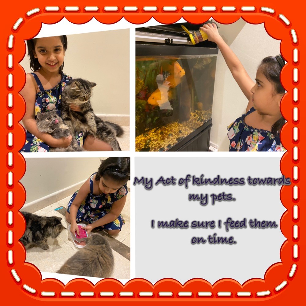 shivjit (@shivjit97) on Twitter photo #Smiles4Zayed Zara of 4A spreads kindness and smiles by selfless taking care of her pets. Cheers Zara. Keep up the good work and spread kindness everywhere you go. <a href="/Fatima_Martin/">Fatima Martin</a> <a href="/nmswow101/">NMS WOW! 101</a> <a href="/ShettySampoorna/">Sampoorna Shetty</a> <a href="/nmsprimary/">GNMS_PrimaryGeNext</a> <a href="/NMSPrimaryCOEIP/">NMS_Primary_COEIP</a> #Smiles4Zayed Zara of 4A spreads kindness and smiles by selfless taking care of her pets. Cheers Zara. Keep up the good work and spread kindness everywhere you go. <a href="/Fatima_Martin/">Fatima Martin</a> <a href="/nmswow101/">NMS WOW! 101</a> <a href="/ShettySampoorna/">Sampoorna Shetty</a> <a href="/nmsprimary/">GNMS_PrimaryGeNext</a> <a href="/NMSPrimaryCOEIP/">NMS_Primary_COEIP</a>