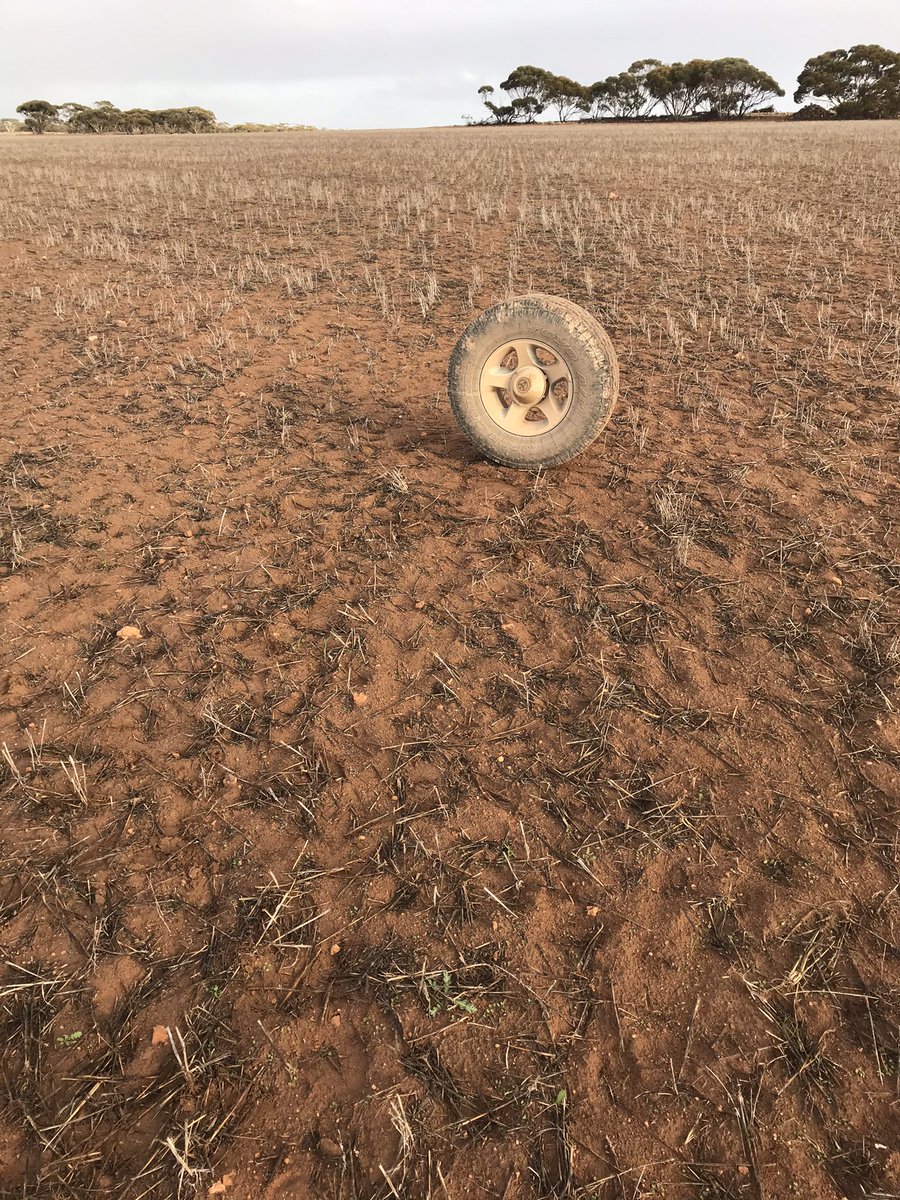 Myles Tomney tweet media