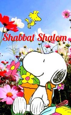 clodiapip's tweet photo. @AzilBenMeir https://t.co/fSlMEszJRZ