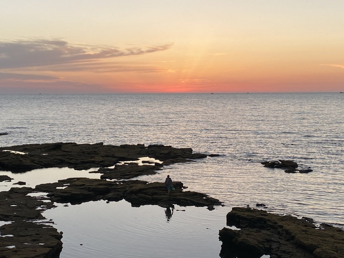 delOroFran's tweet photo. Mariscando con el atardecer de fondo 

#Dslrcreativee #photography #photooftheday #NaturePhotography #Nature #Cadiz #Atardecer #photographer #Mariscando #Mariscador https://t.co/1orONxvT7A