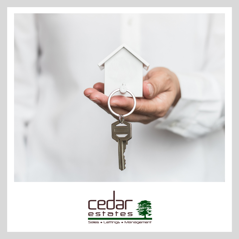 Leap in demand as London’s rental market springs back to life:

zcu.io/vKrn 

Calling all #landlords.

#Property #WestHampstead #LoveWestHampstead #Fridays #London  #Lettings #Landlords #Tenants #Rentals