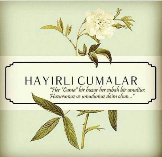 🇹🇷🇹🇷HamidAK 🇹🇷🇹🇷 (@hakanak4434) on Twitter photo 
